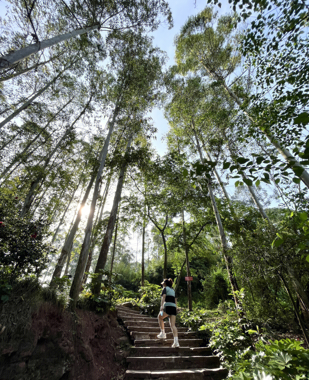 仰天窝山顶图片