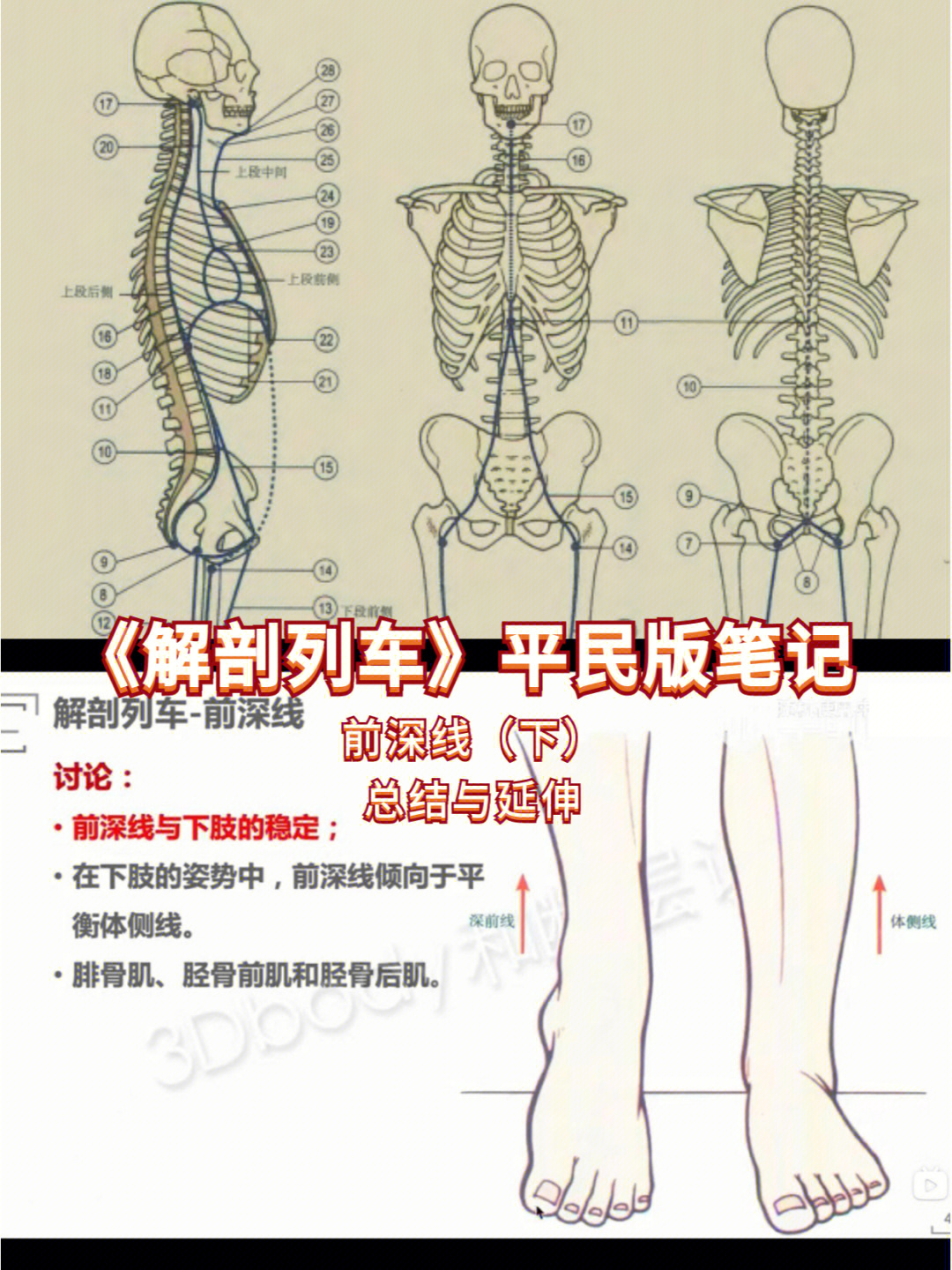 终于来到《解剖列车》平民版笔记的最后一篇,这里将会总结一下整个前