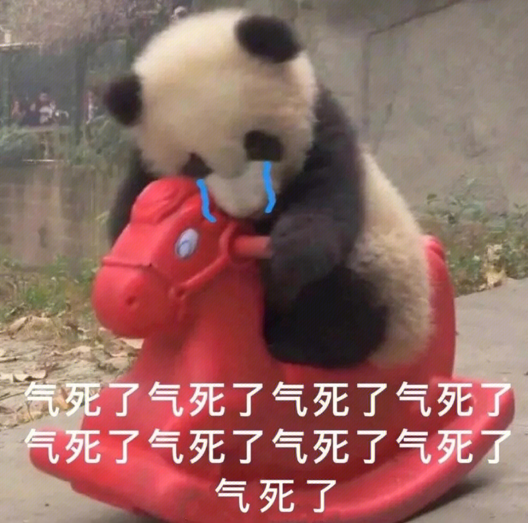 当老师气死我了图片图片