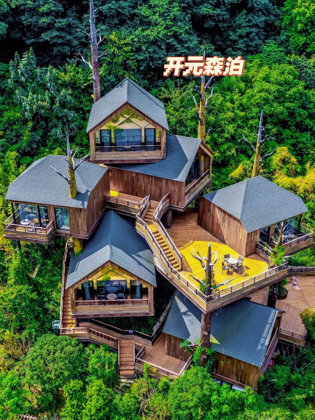 660杭州开元森泊度假酒店住进秘境森林