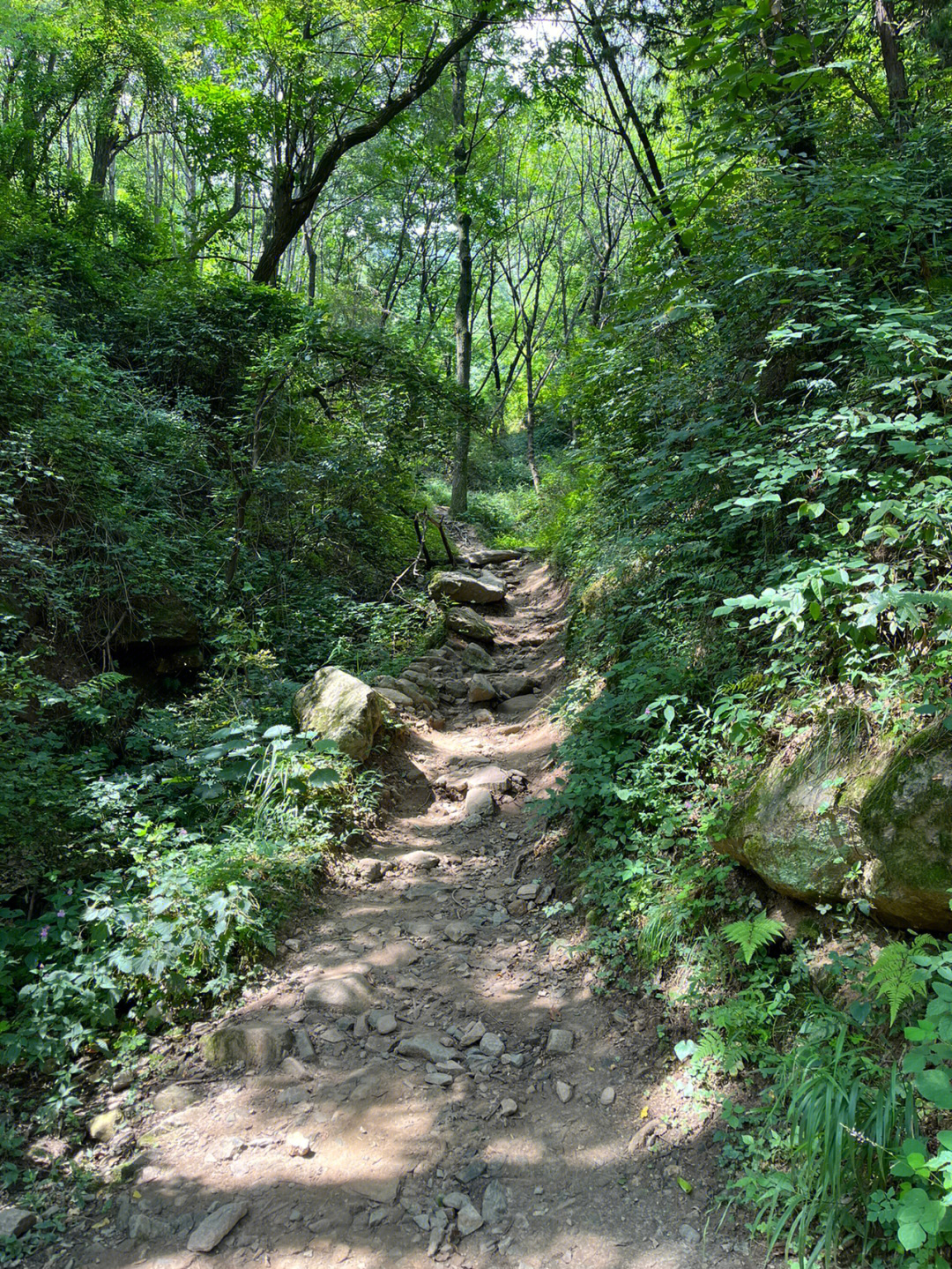 运城小华山图片