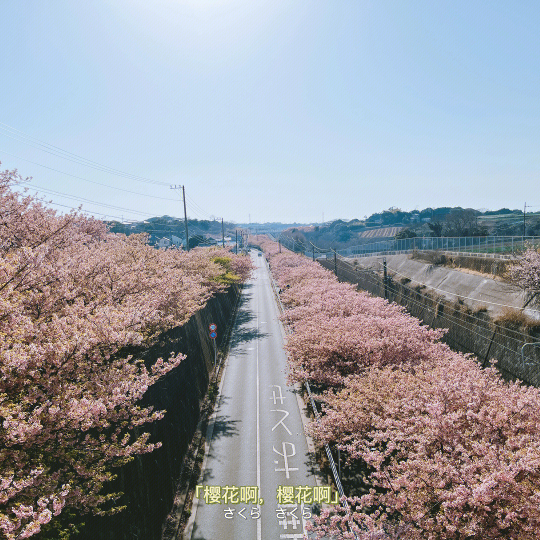 三浦海岸路图片