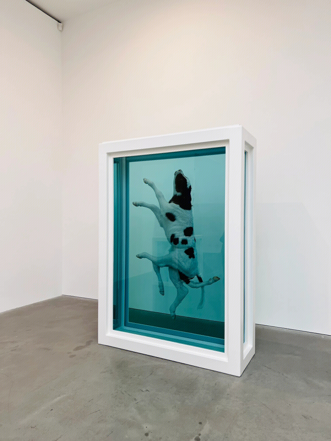 damienhirst图片