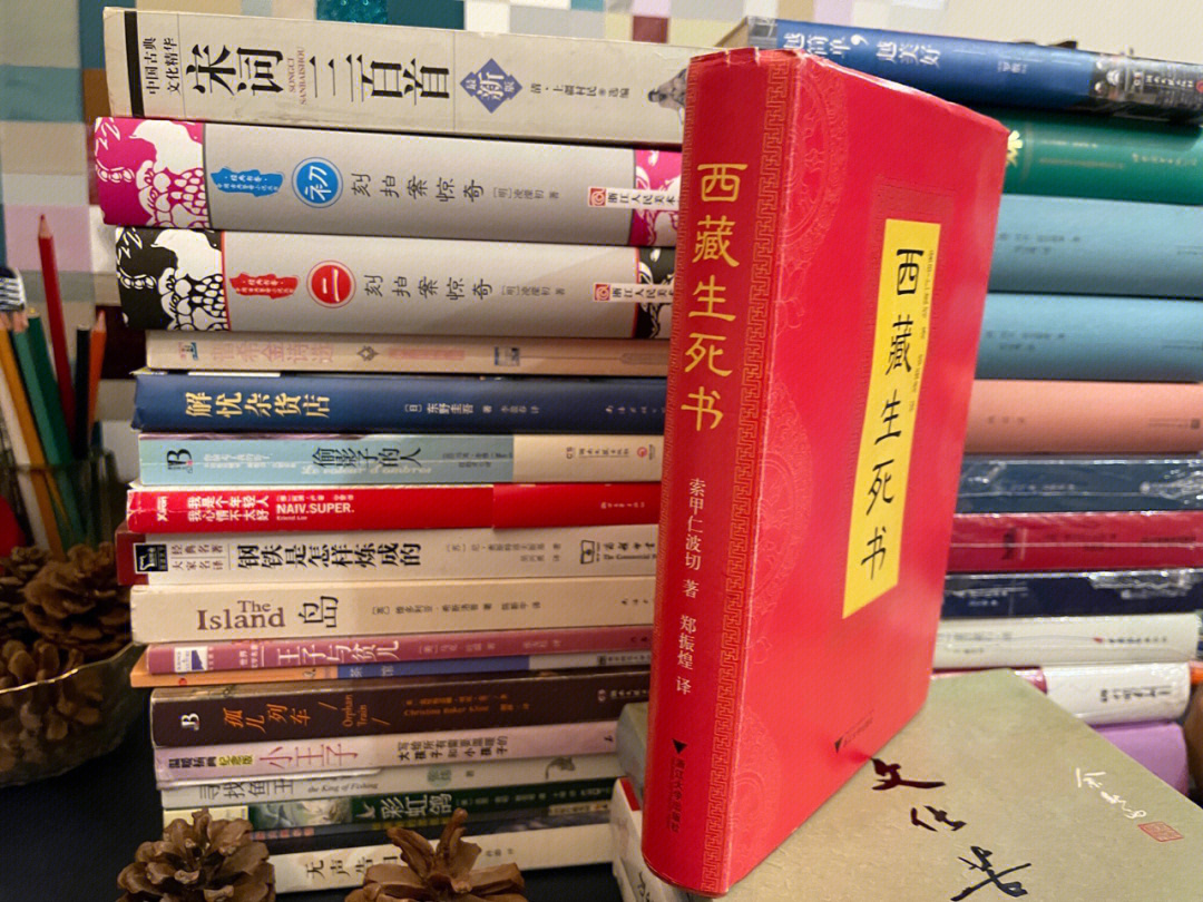 《西藏生死书》丨一本需要用生命去阅读的书