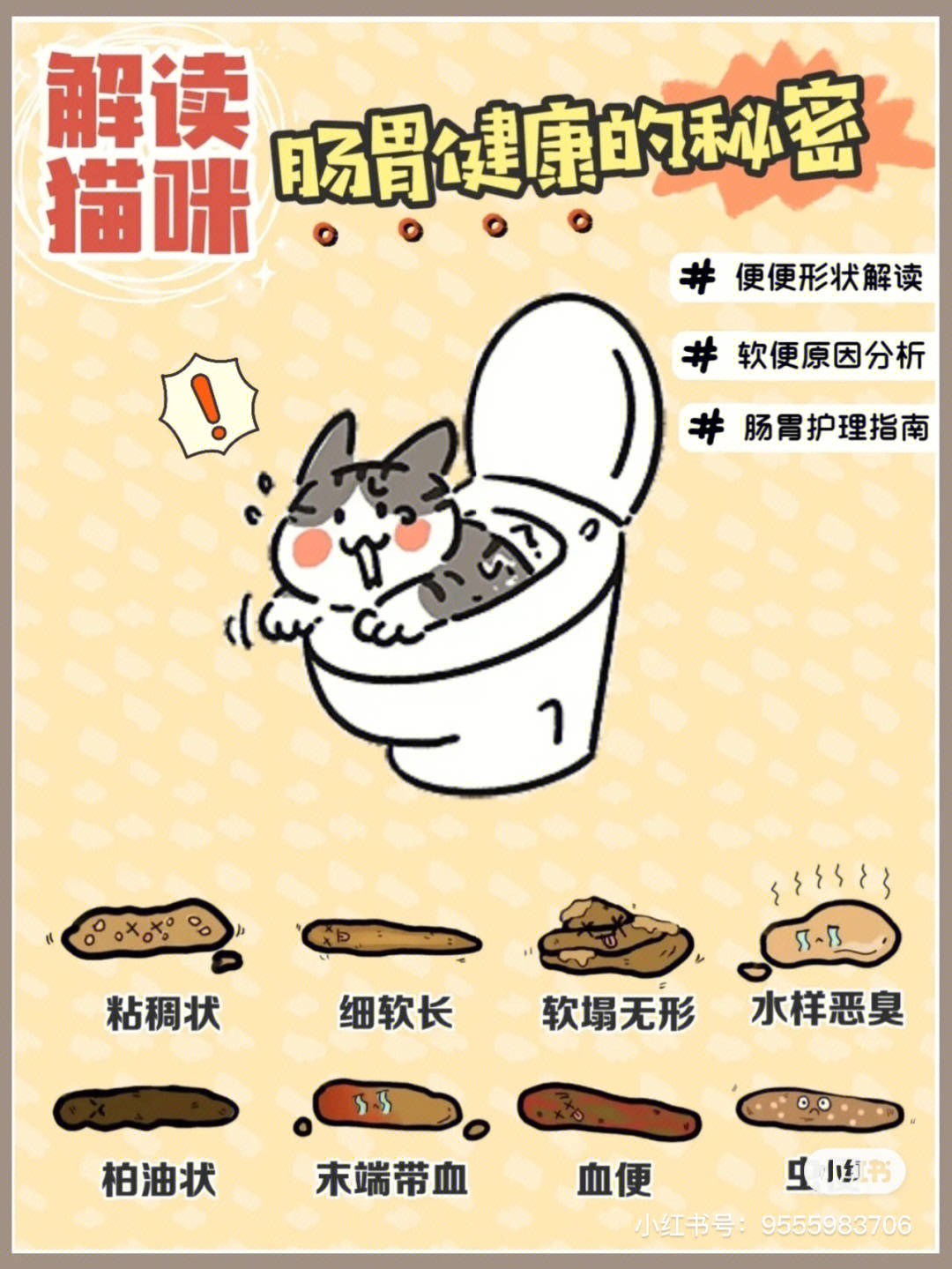 肠胃猫高清图图片