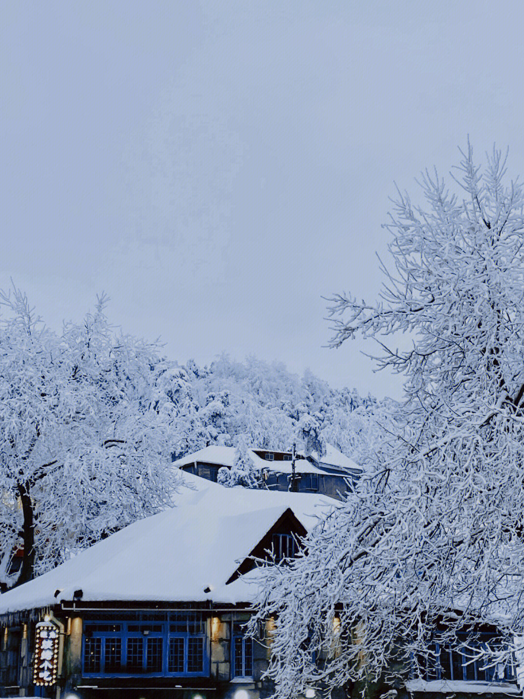 庐山花径雪景图片