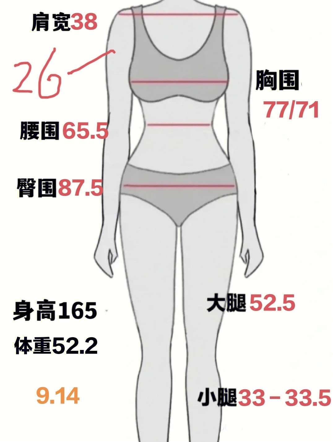 身体围度测量标准图图片