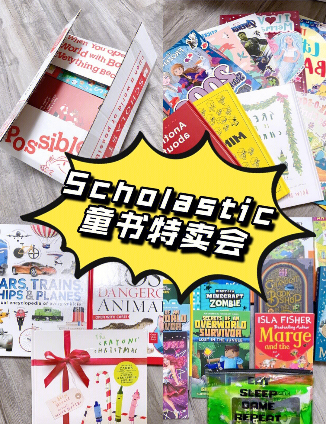 scholastic probation图片