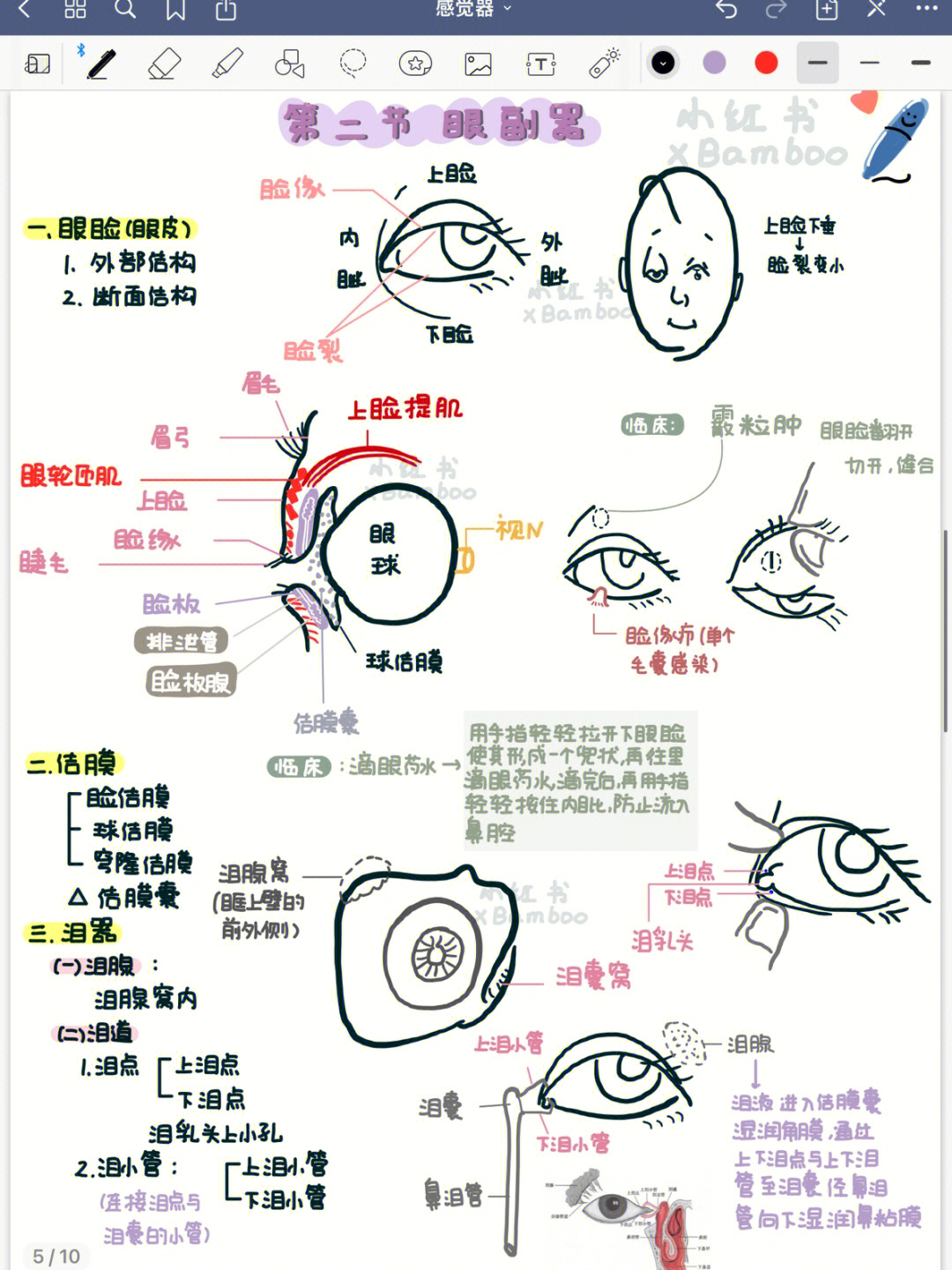 感觉分布图图片