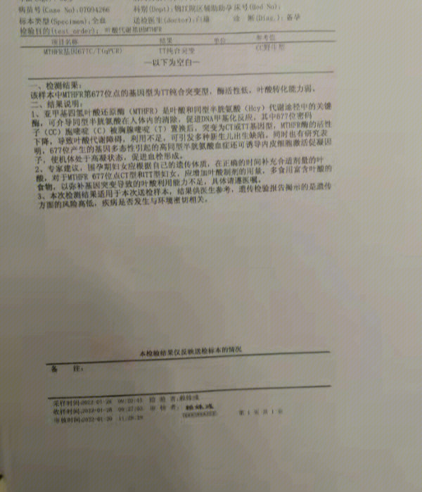 叶酸代谢基因检测报告图片