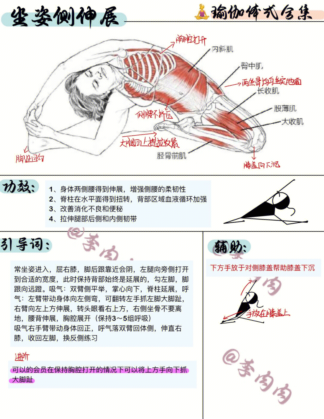 坐姿侧伸展增强侧腰柔韧性拉伸腿后侧