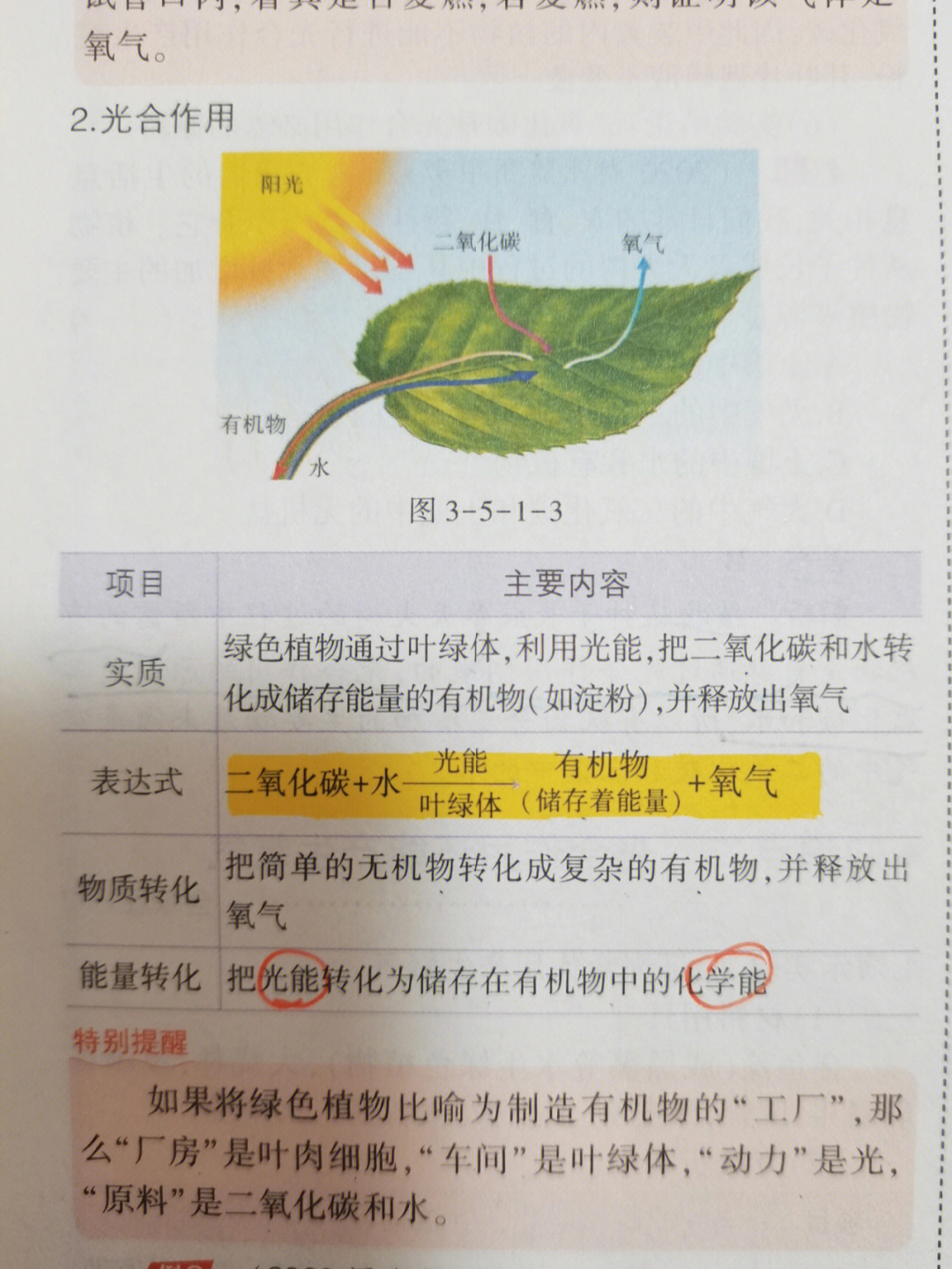 植物的蒸腾作用导图图片