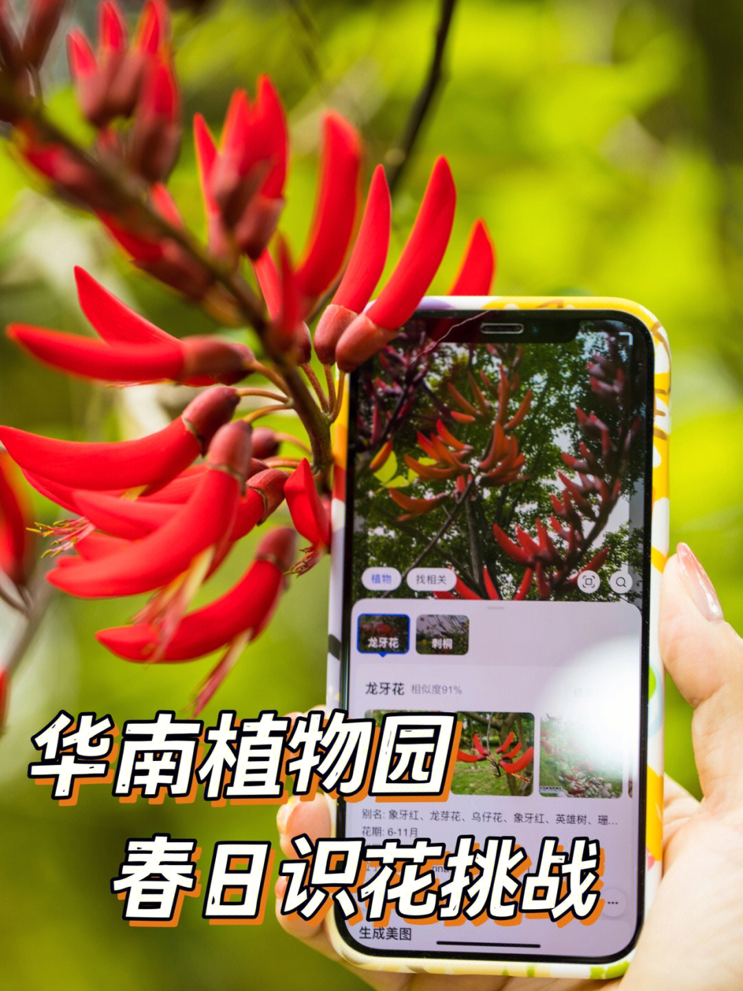 华南植物园植物介绍图片