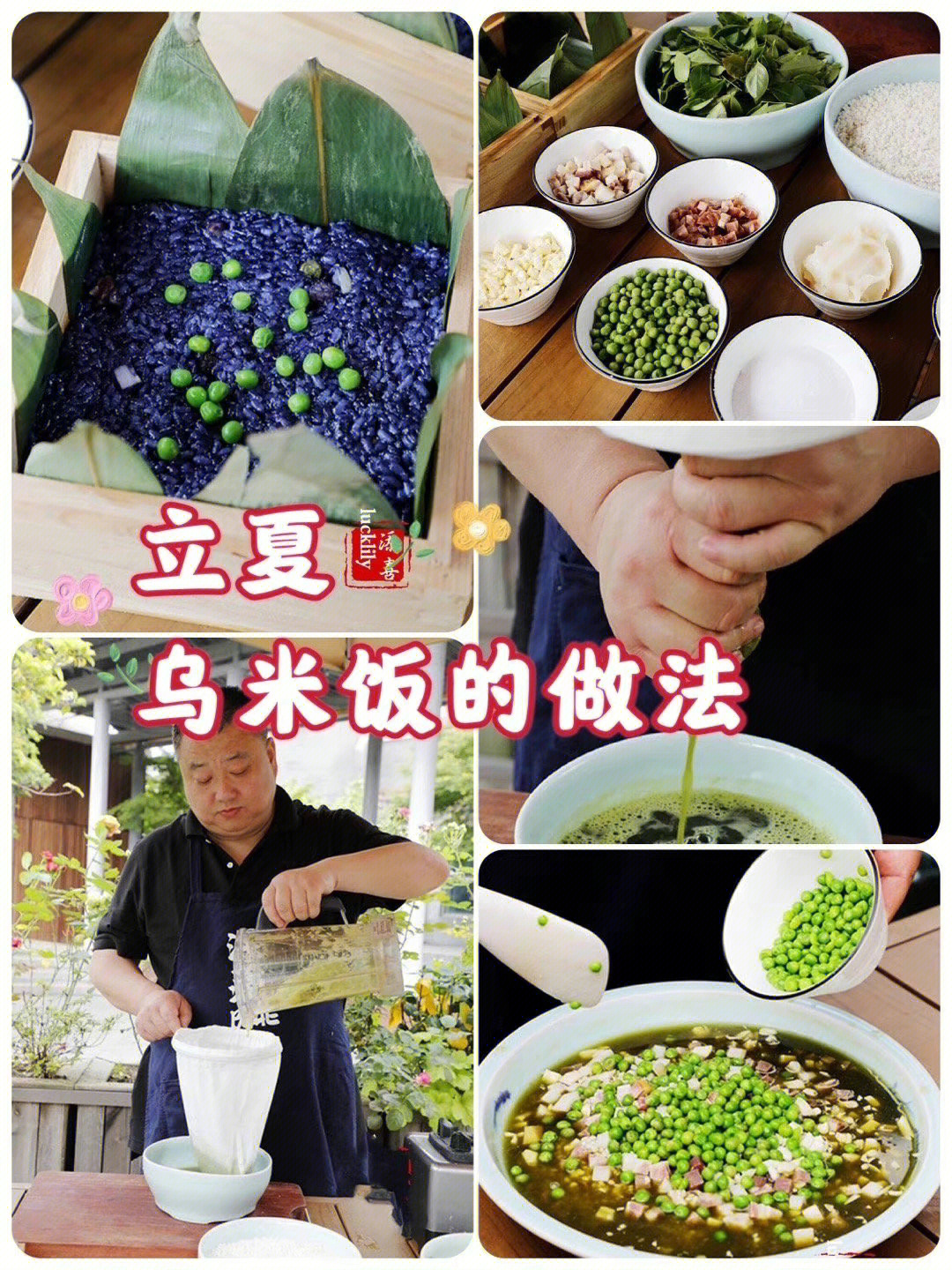 7815我国民间有立夏吃乌米饭的传统,乌米饭是一种紫黑色的糯米饭