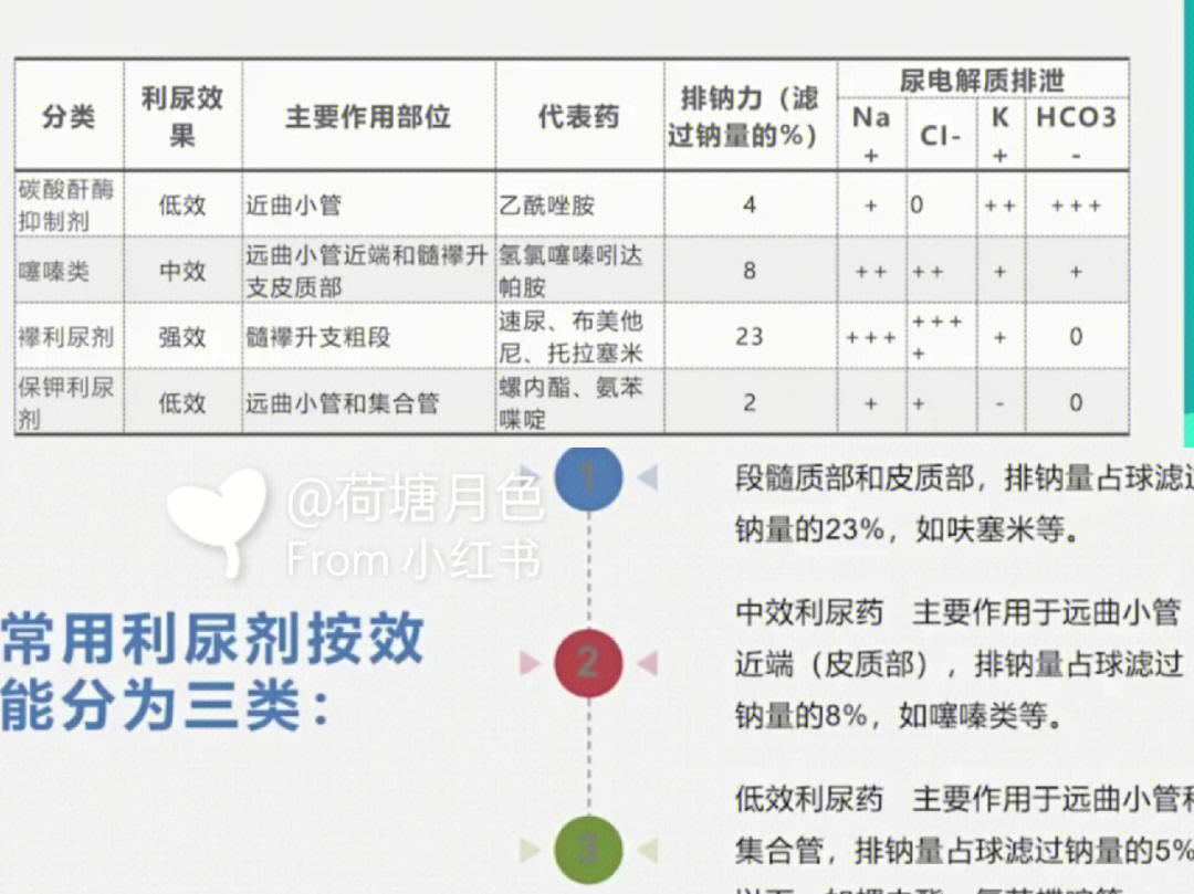 利尿剂分类图片