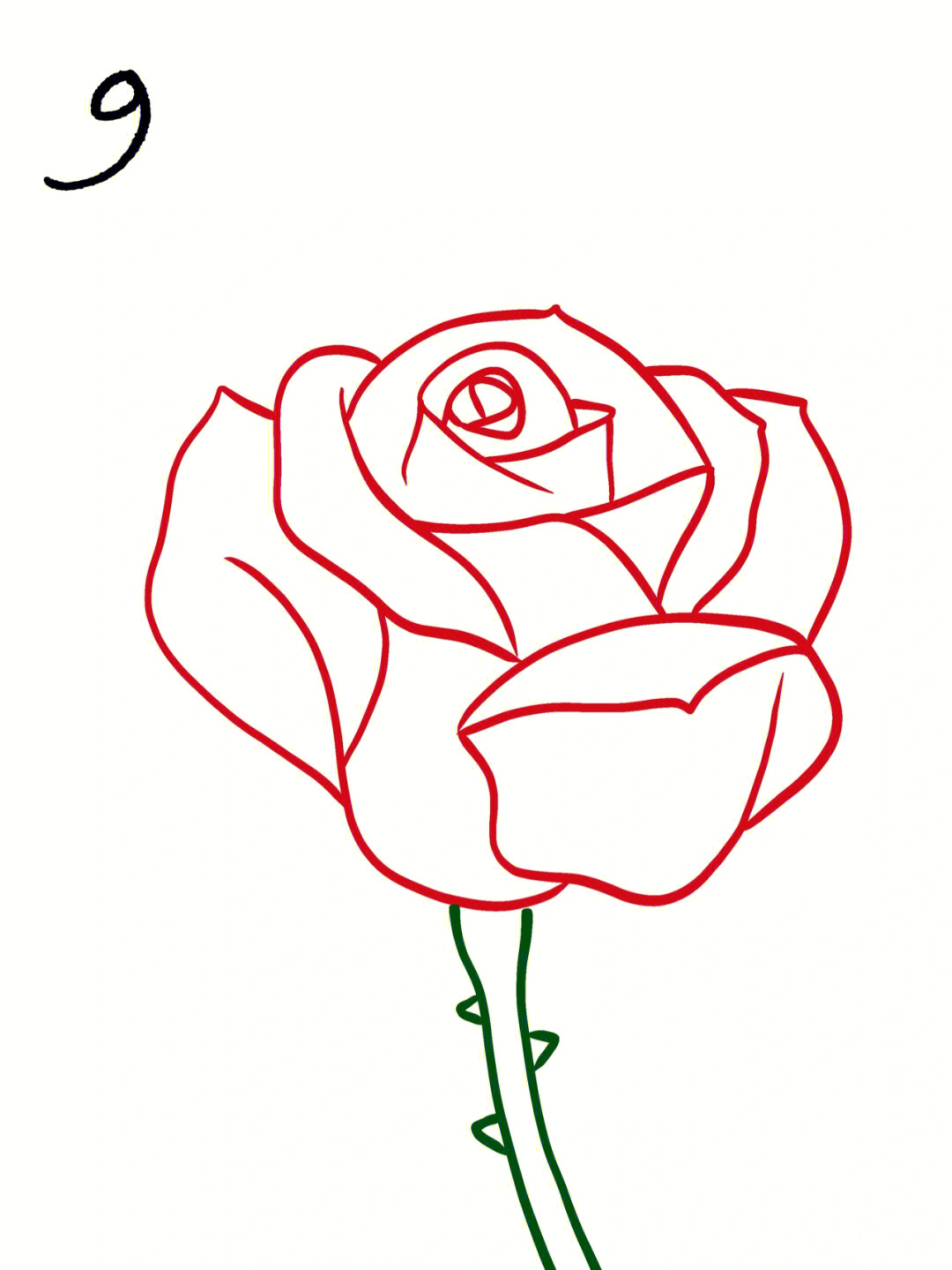 简笔玫瑰画法图片