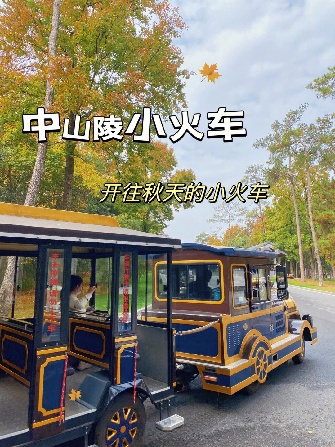 秋日遛娃钟山风景区小火车