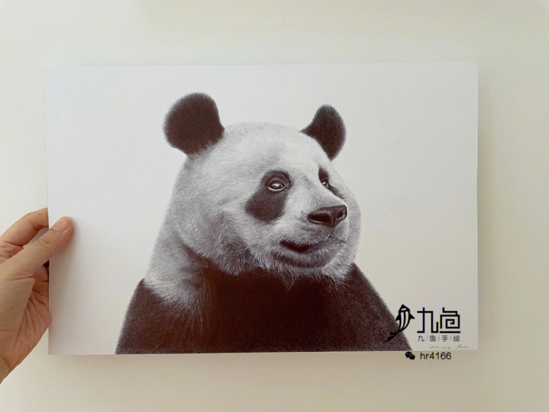 熊猫绘画柳叶笔图片