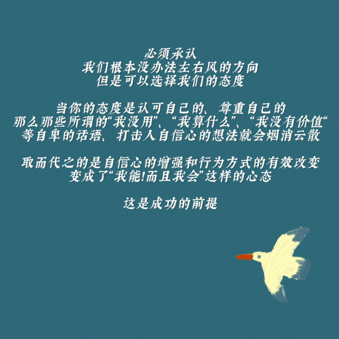 每个人的成功都不可复制,但他们对待人生的积极态度,对成功的坚定信念