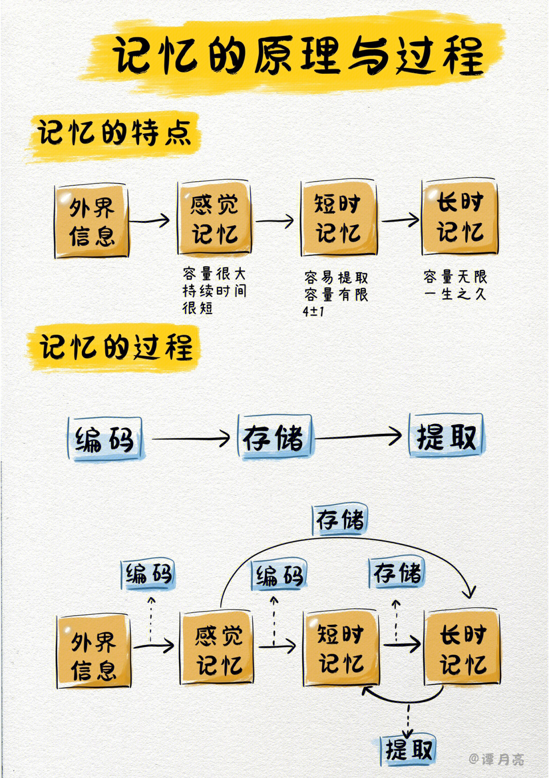 记忆原理及如何高效记忆手绘知识卡片