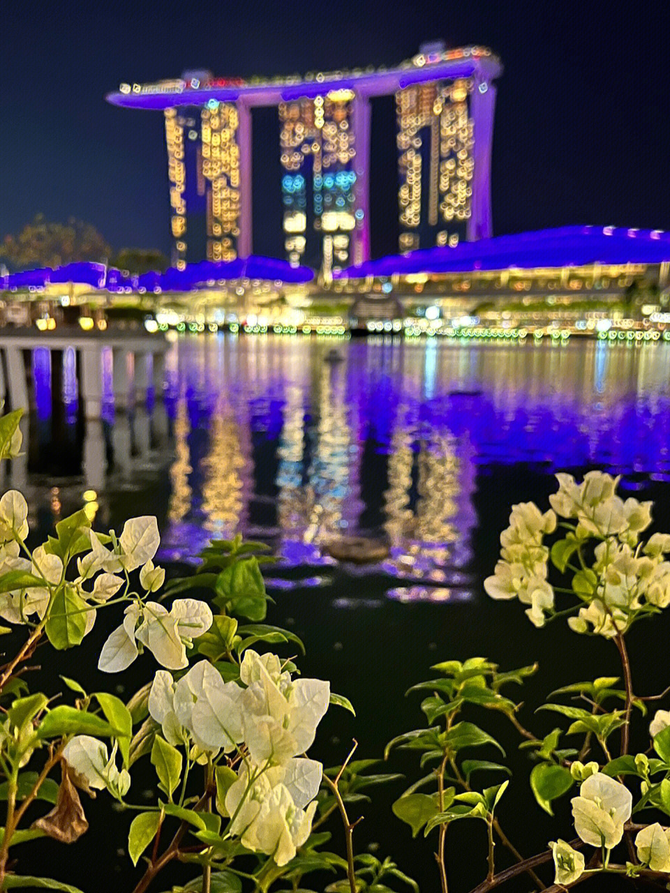 新加坡夜景