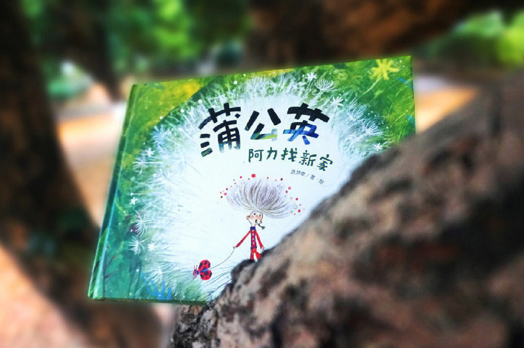 蒲公英的约定壁纸图片