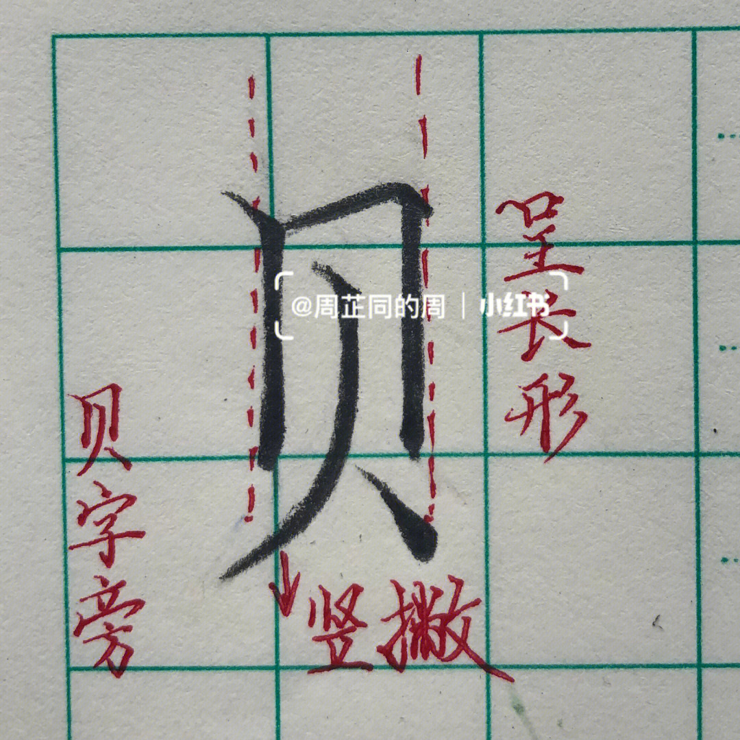 带有贝字旁的字图片