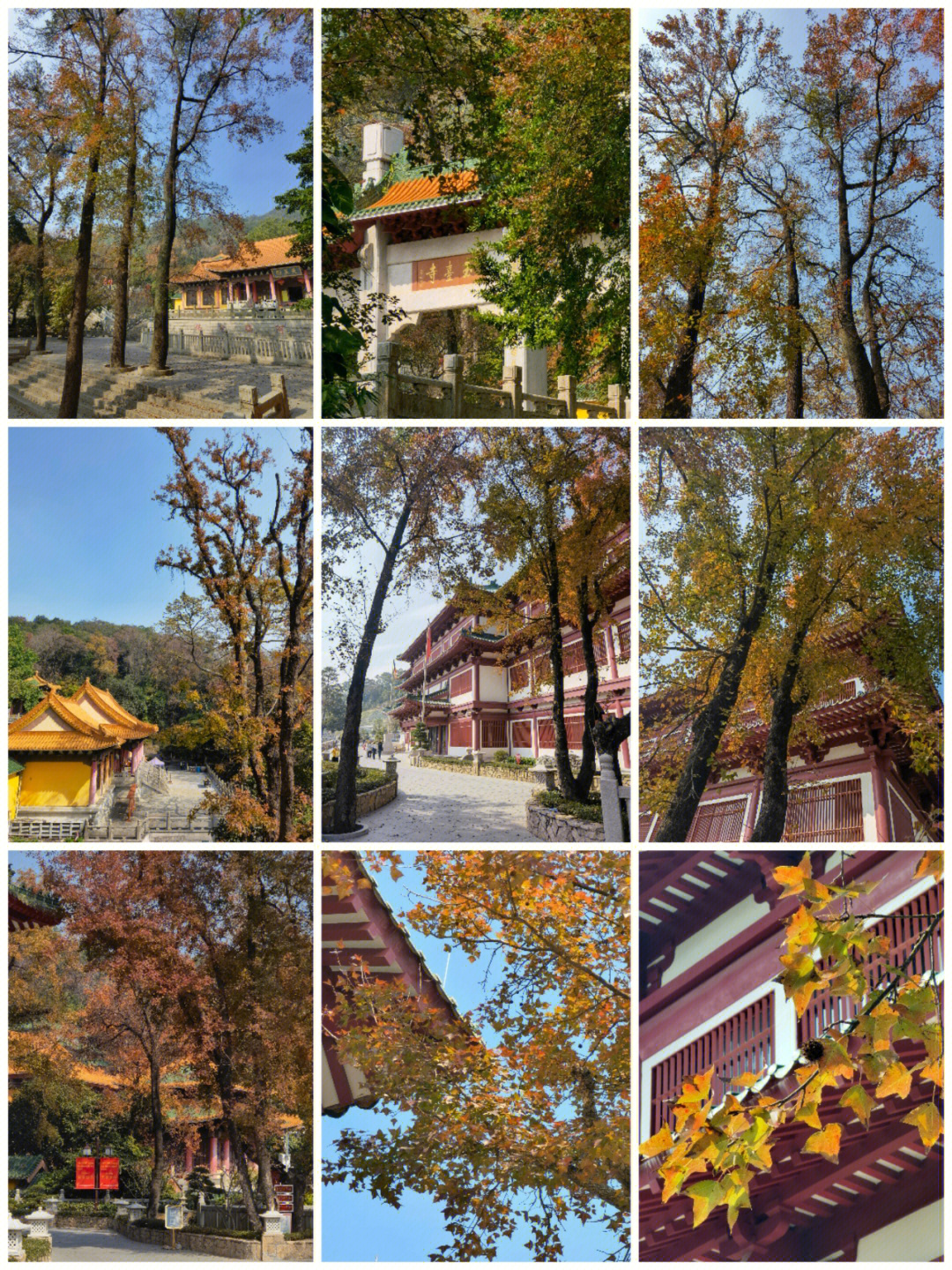 圭峰山玉台寺电话图片