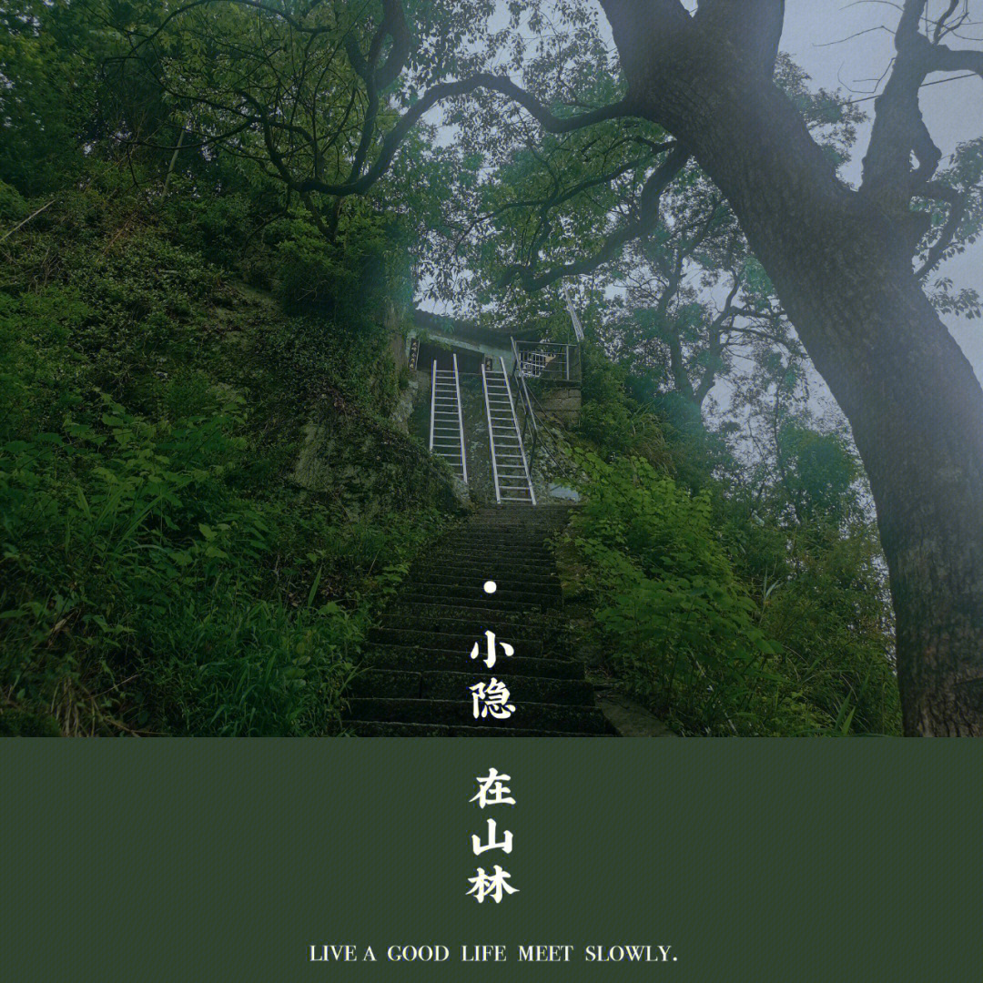 黄岩松岩山景区门票图片