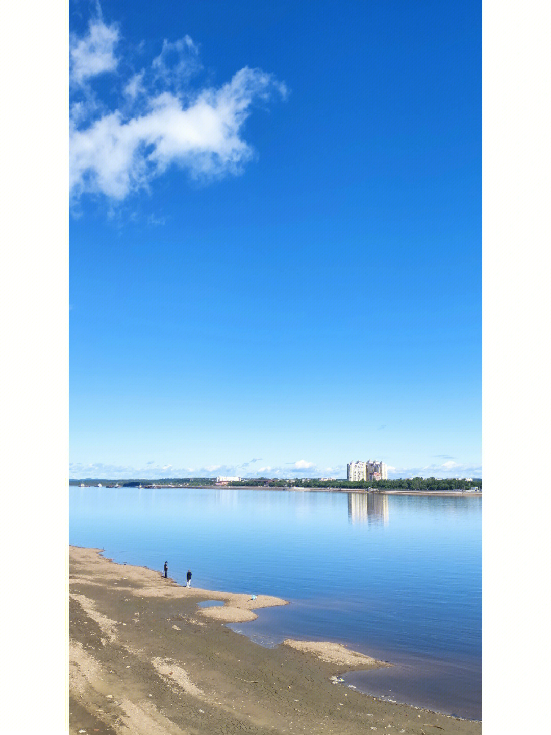 黑龙江畔,碧水蓝天,野鸭子在江水里嬉戏