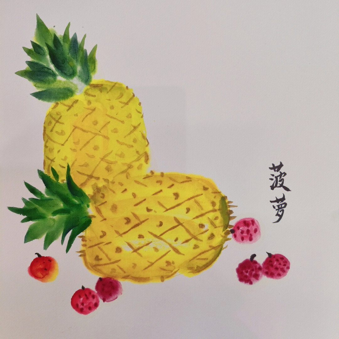 菠萝美术课件ppt图片