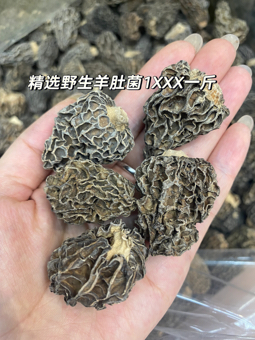 纯野生羊肚菌1xxx一斤