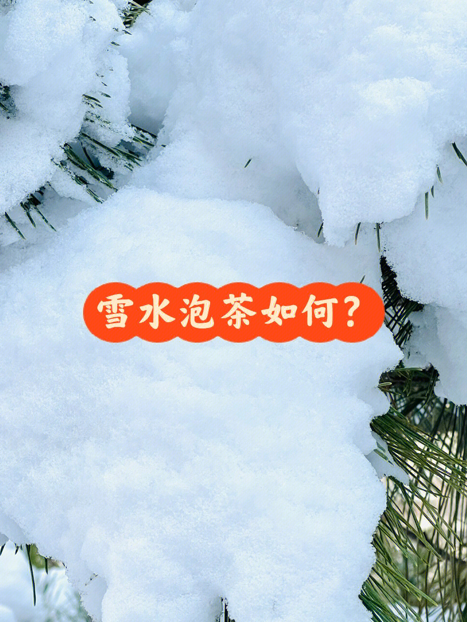 泡茶》春分已过,2022年初最后一场大雪,连着两场雪,取了第二场雪,梅花