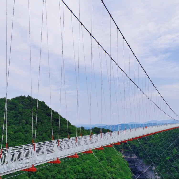 过节被某音种草曲靖凤凰谷:最吸引人的就是玻璃桥长469米,宽3