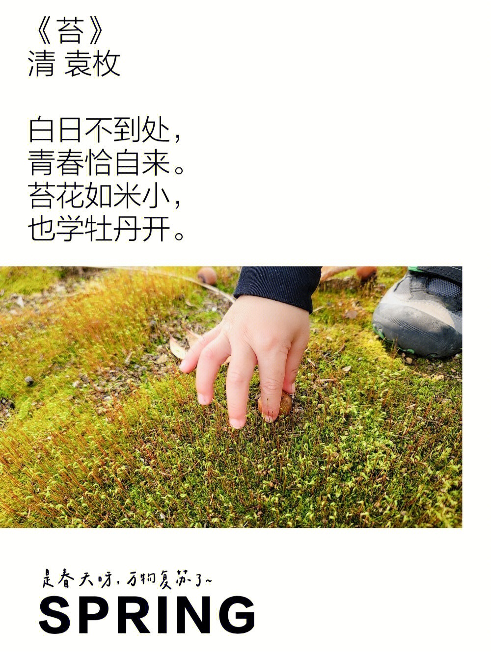 推窗袁枚古诗图片