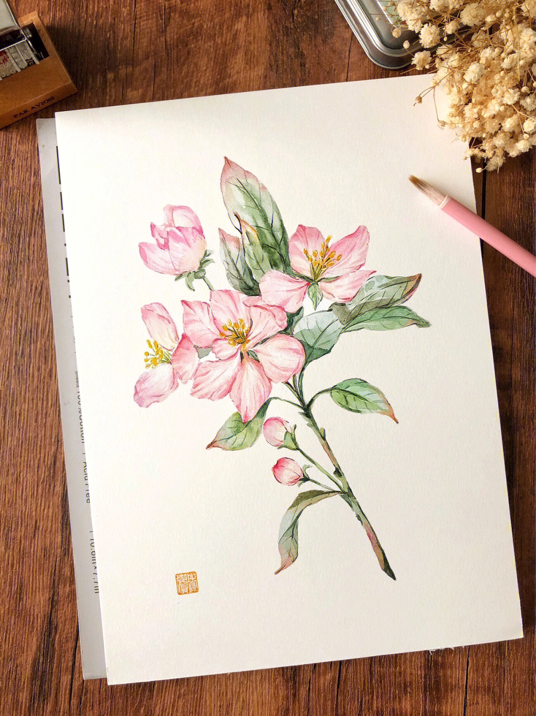 水彩海棠花画法图片