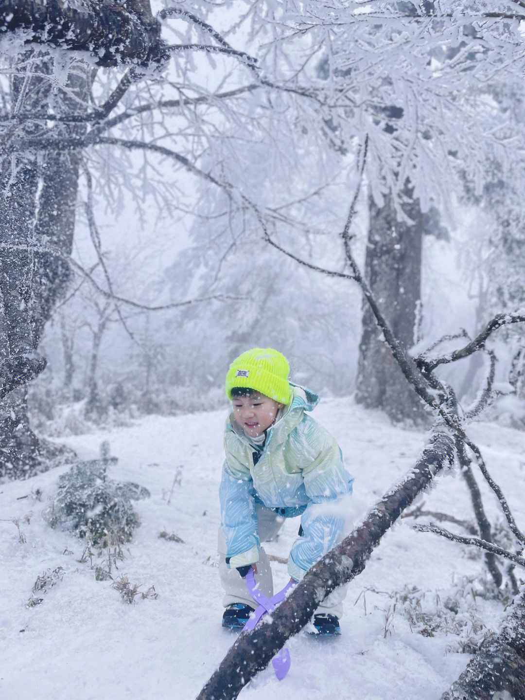 川西小众玩雪秘境石棉王岗坪