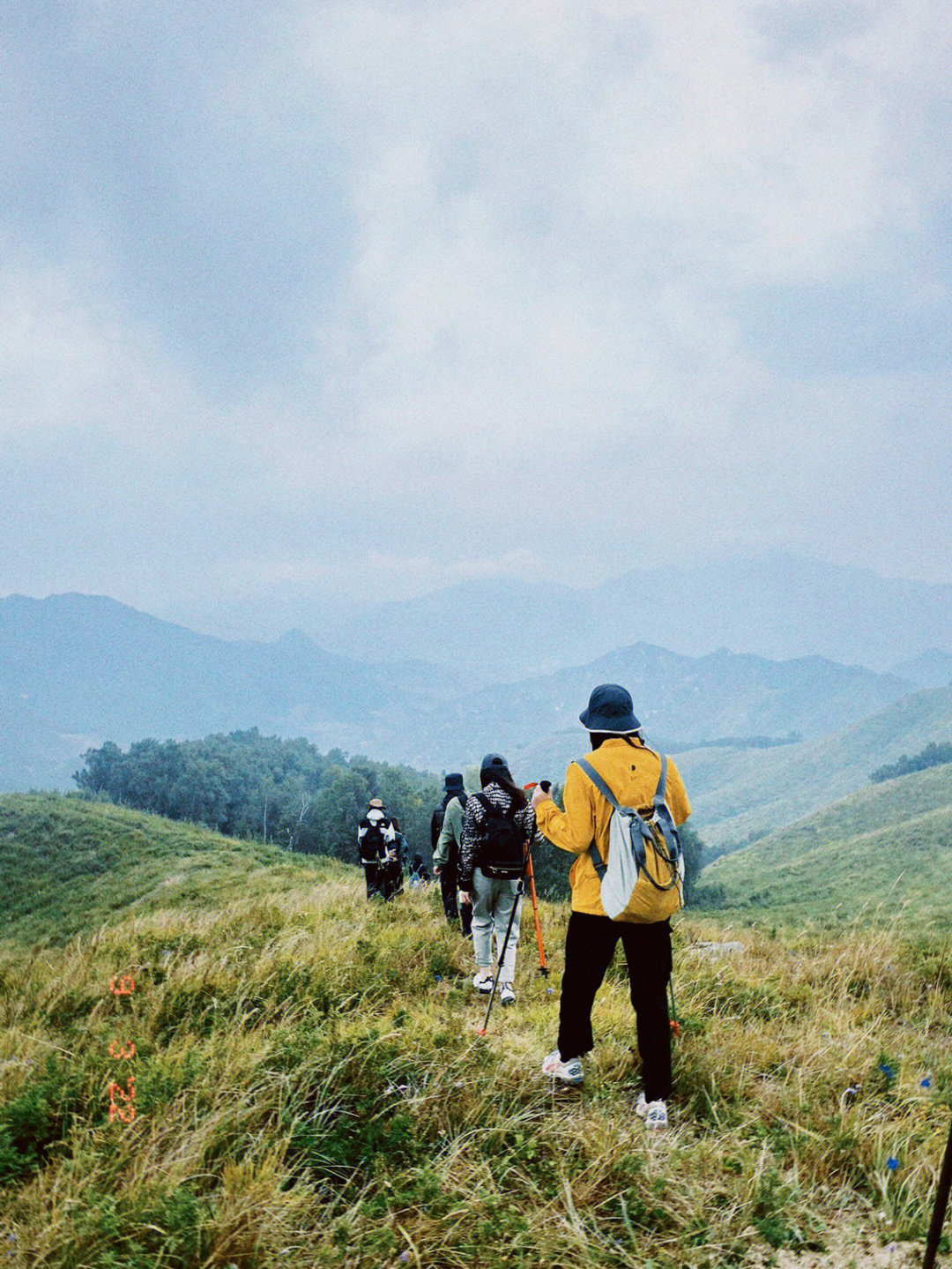 北京徒步登山丨东灵山丨京边高山草甸小新疆