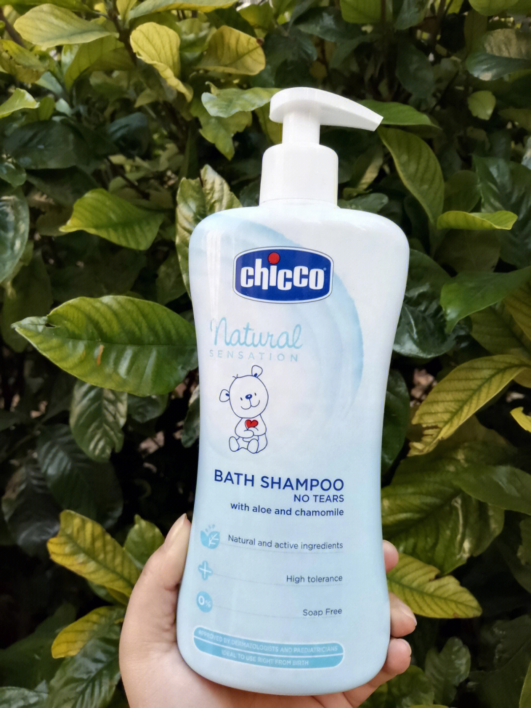 shampoobath图片