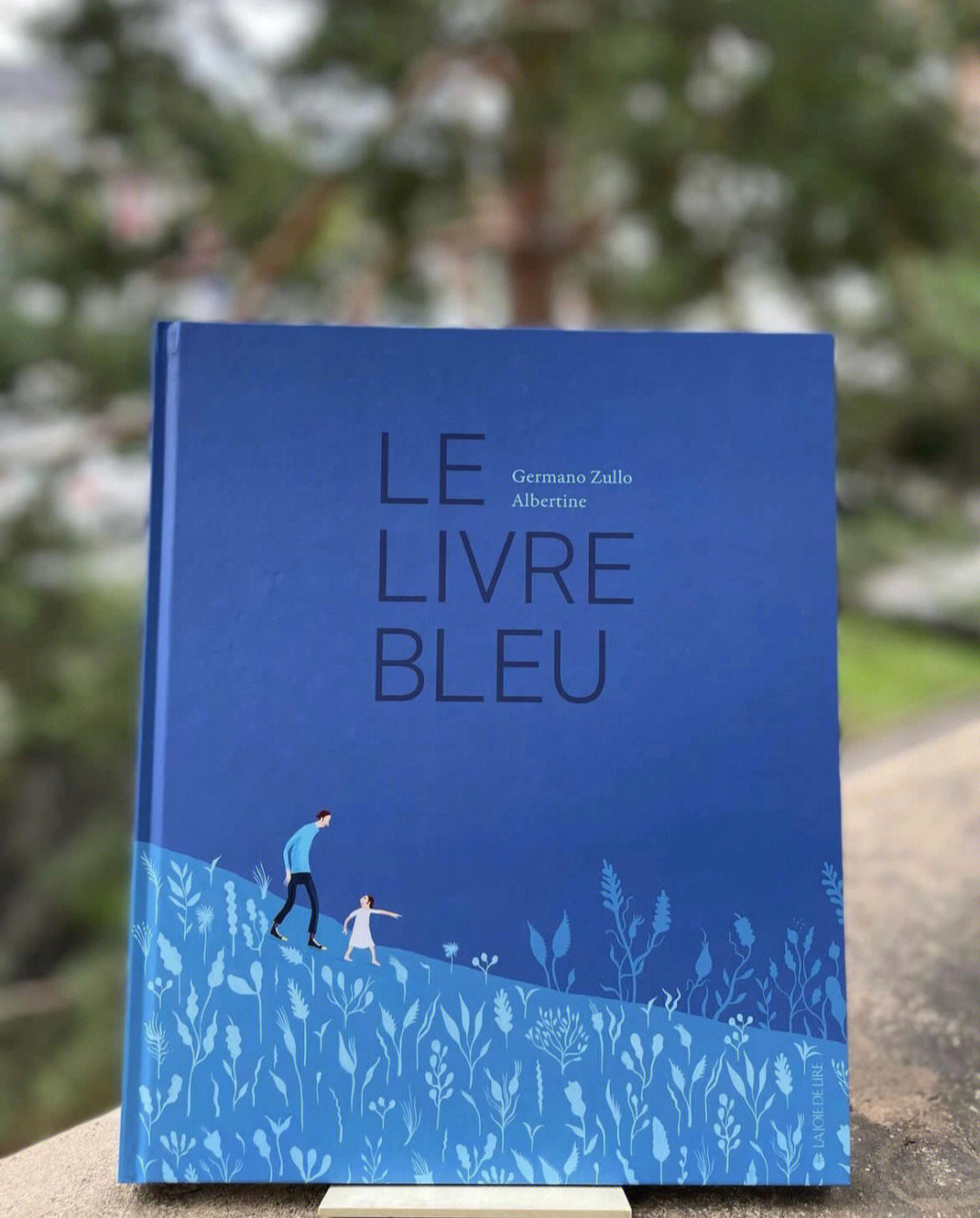 le liver bleu 蓝色的书albertine 作品国际安徒生插画奖得主