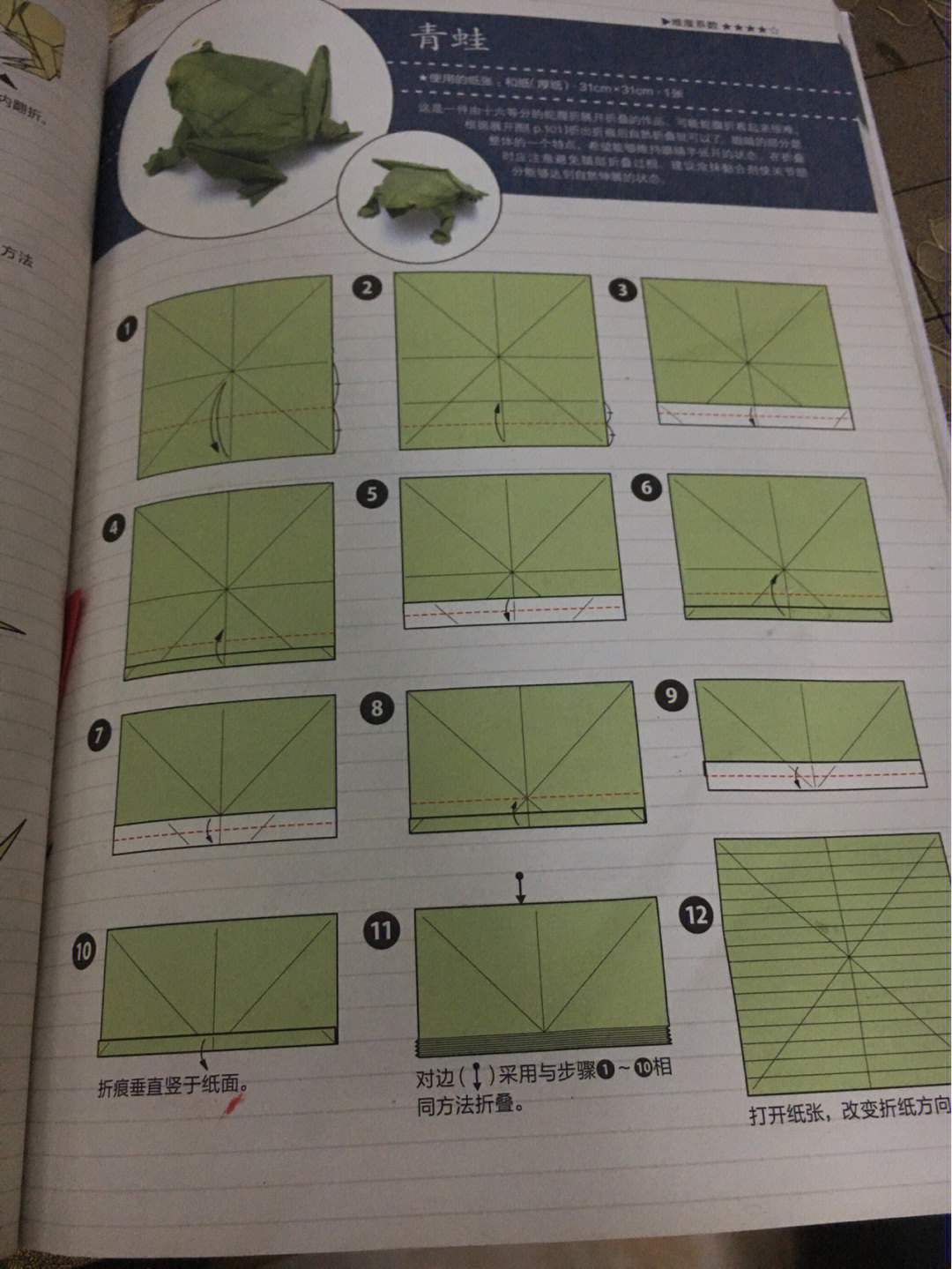 青蛙的折法图解教程图片