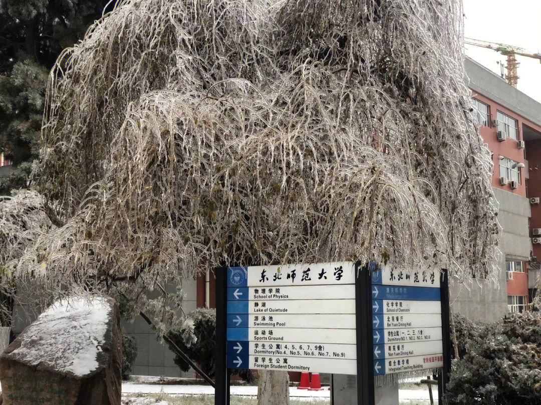 东北师范大学化学学院图片