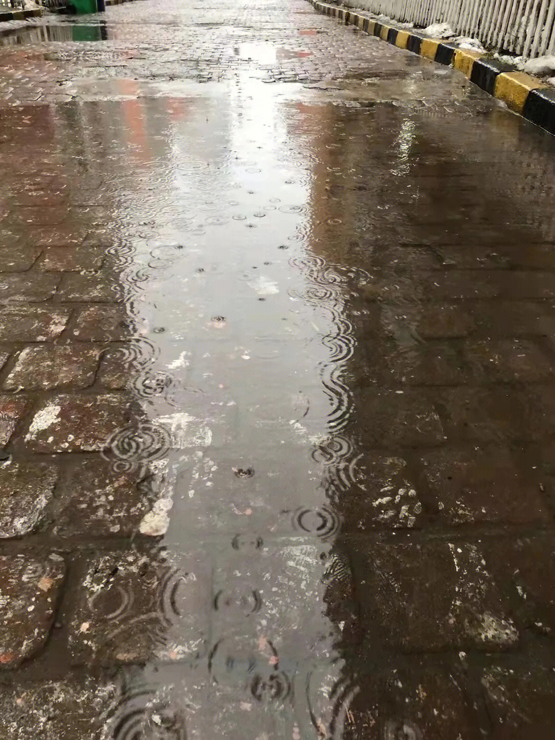 清晖园下雨图片