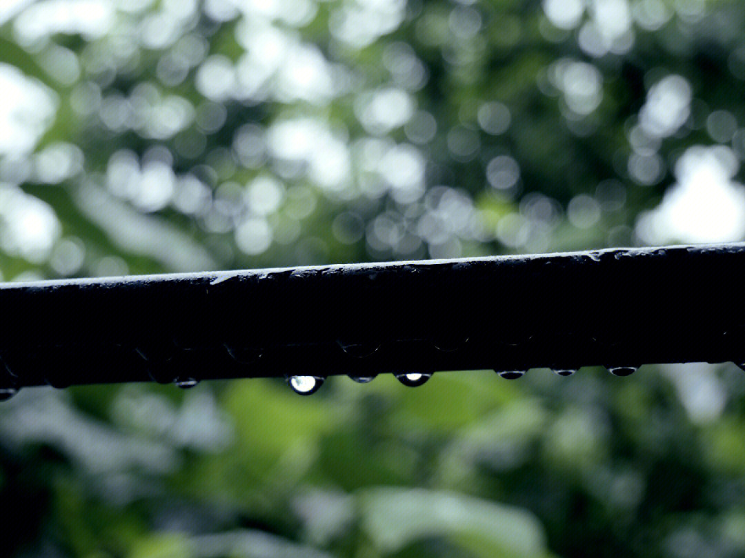 下雨天早晨的图片图片