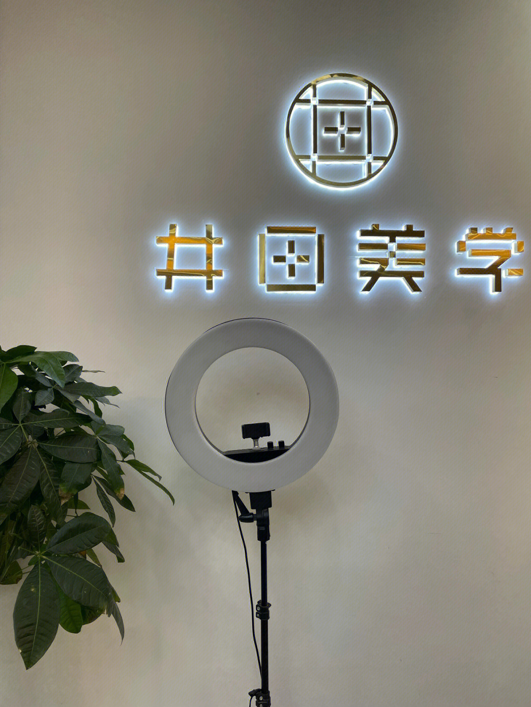 审美造型logo图片