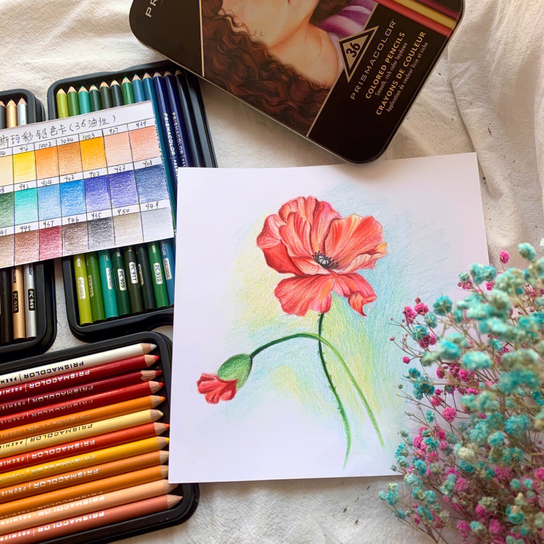 欢欢的画彩铅手绘虞美人花卉作品分享