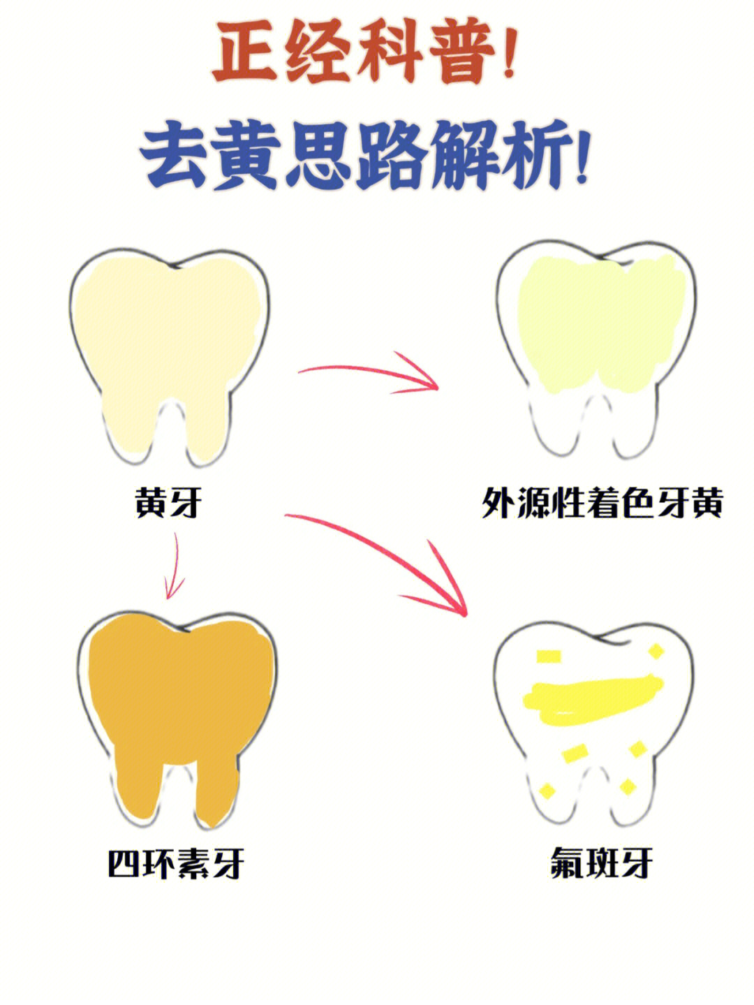 大黄牙怎么变成大白牙图片