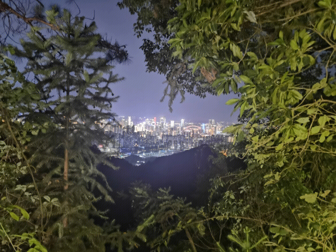 壹华里夜景公园是欣赏重庆夜景的绝美地点,它能够俯视渝中,江北,南坪