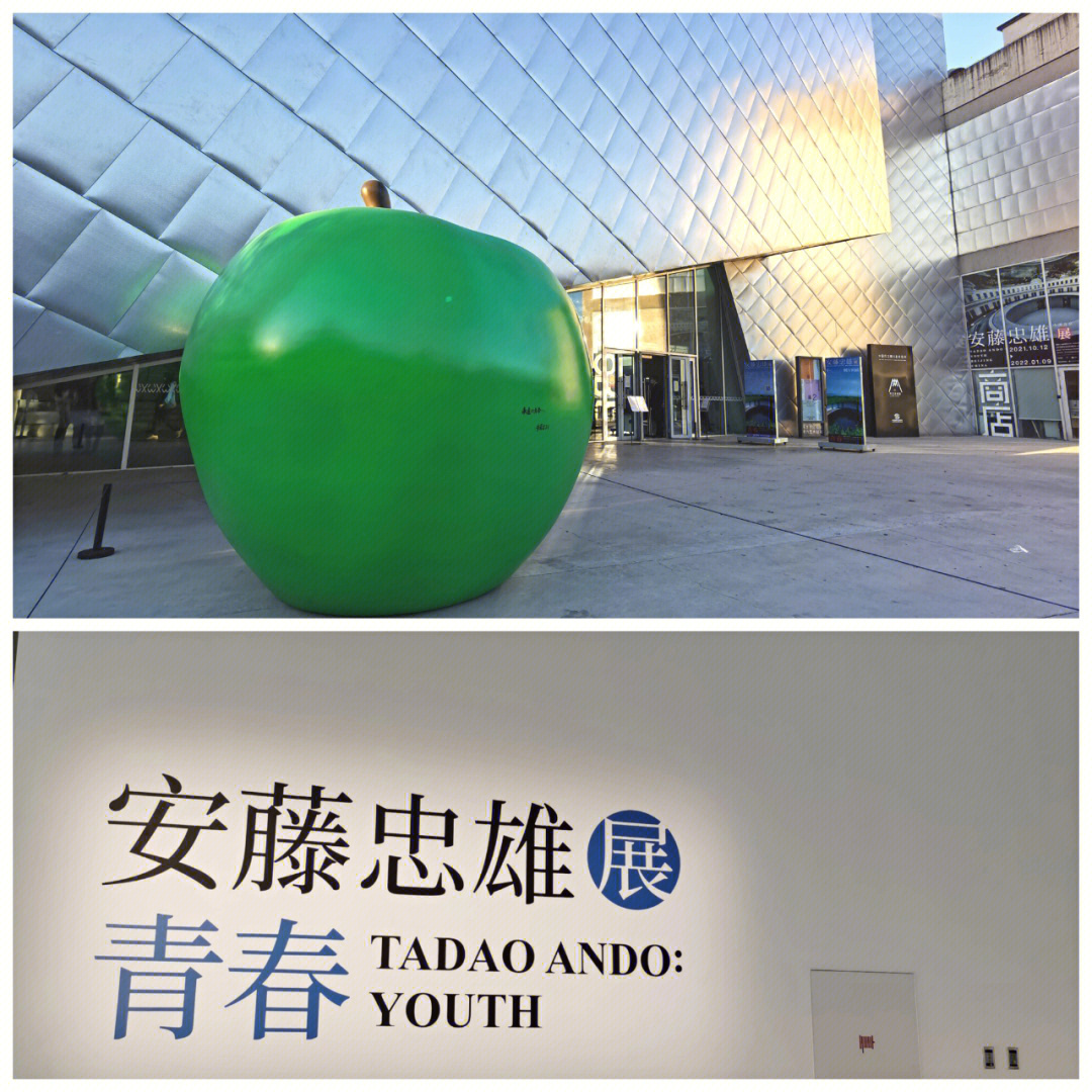 安藤忠雄上海展图片