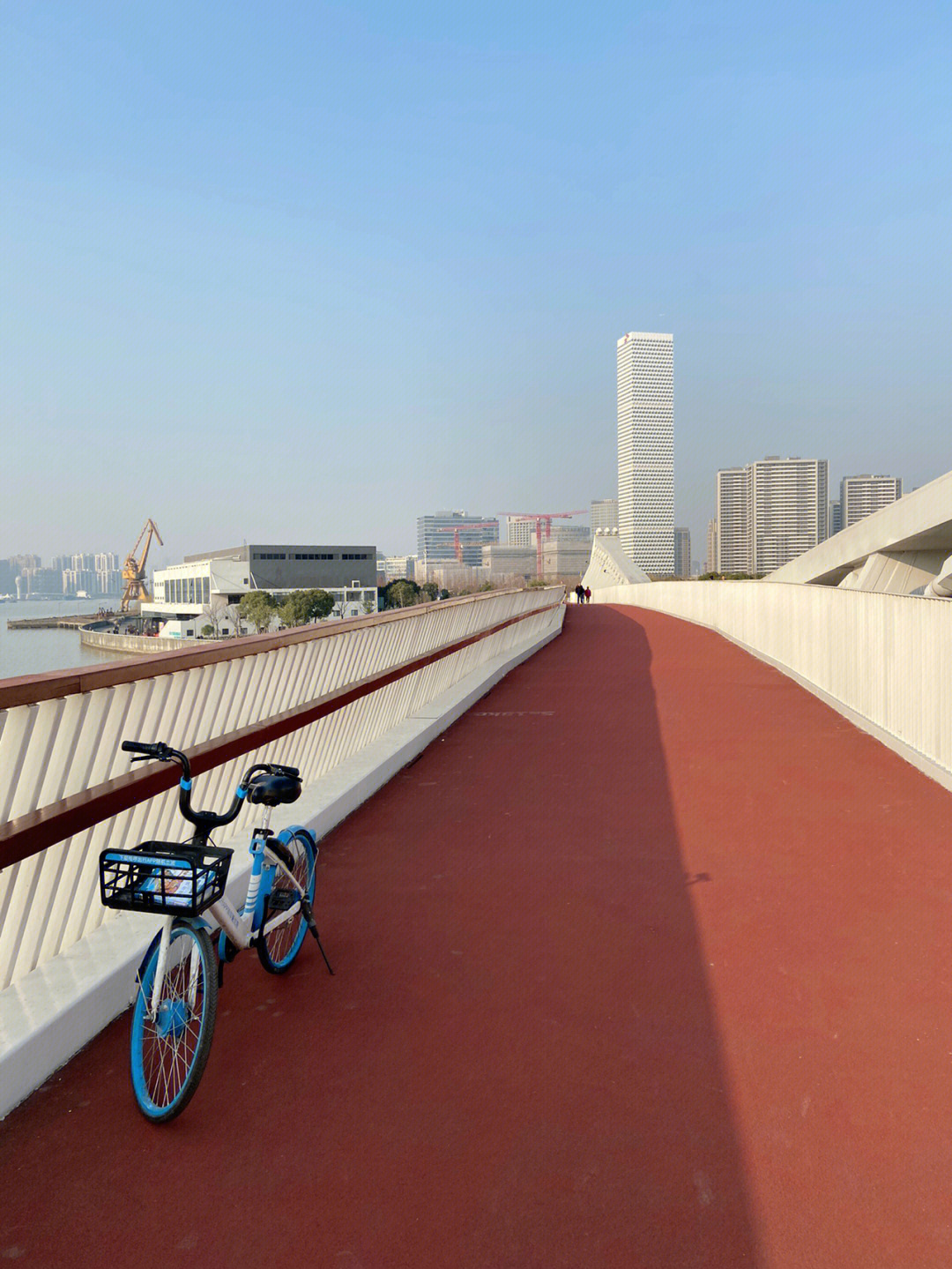 上海最美骑行路线后滩公园